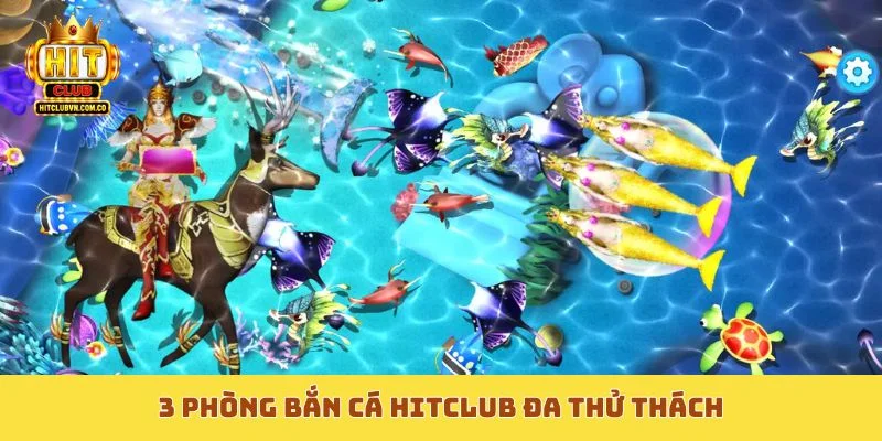 3 phòng bắn cá Hitclub đa thử thách